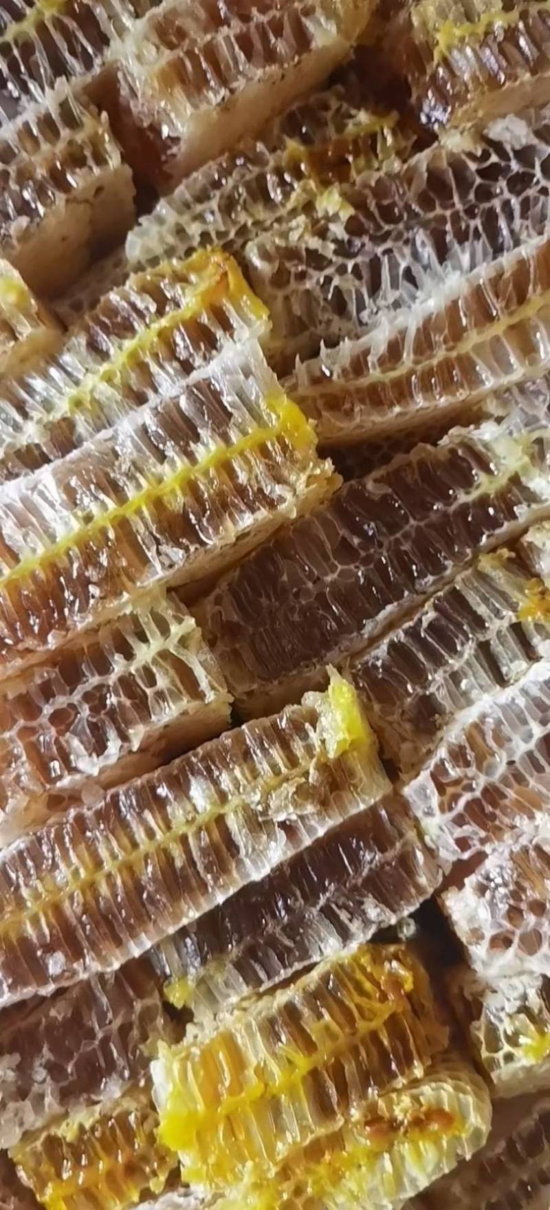 铁框蜂巢蜜菜花蜜百花蜜槐花蜜产地一手货源地摊摆摊展销会