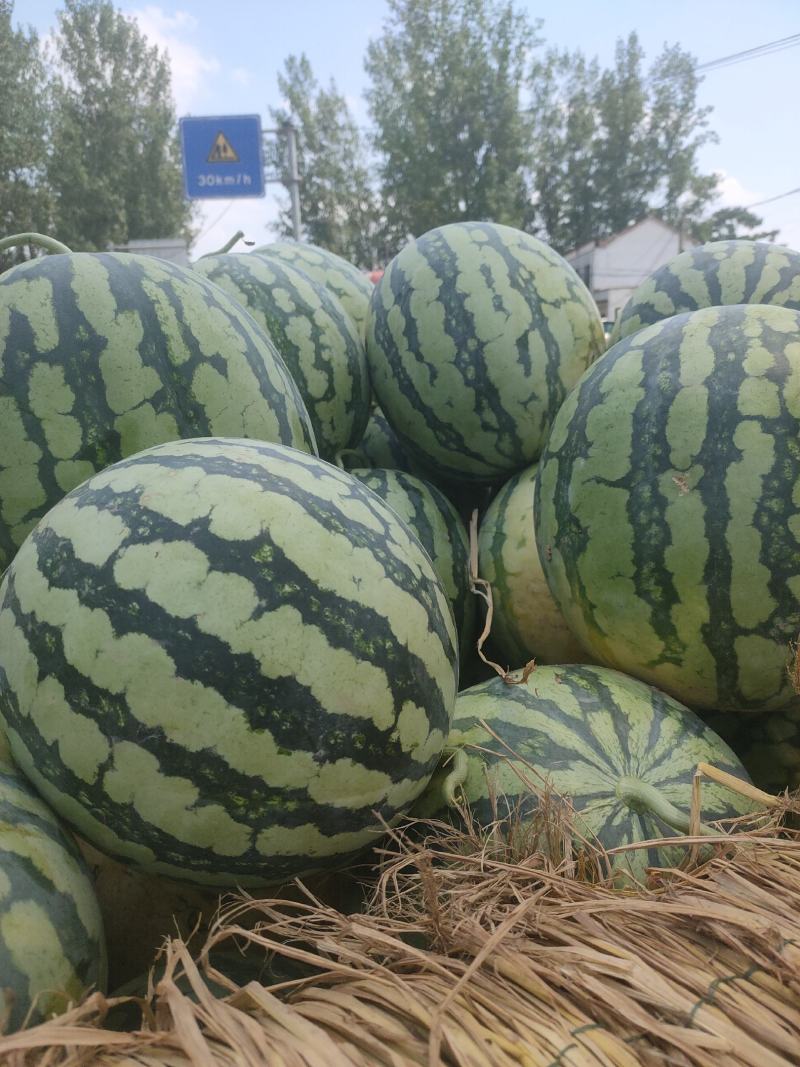 精品美都保质保量