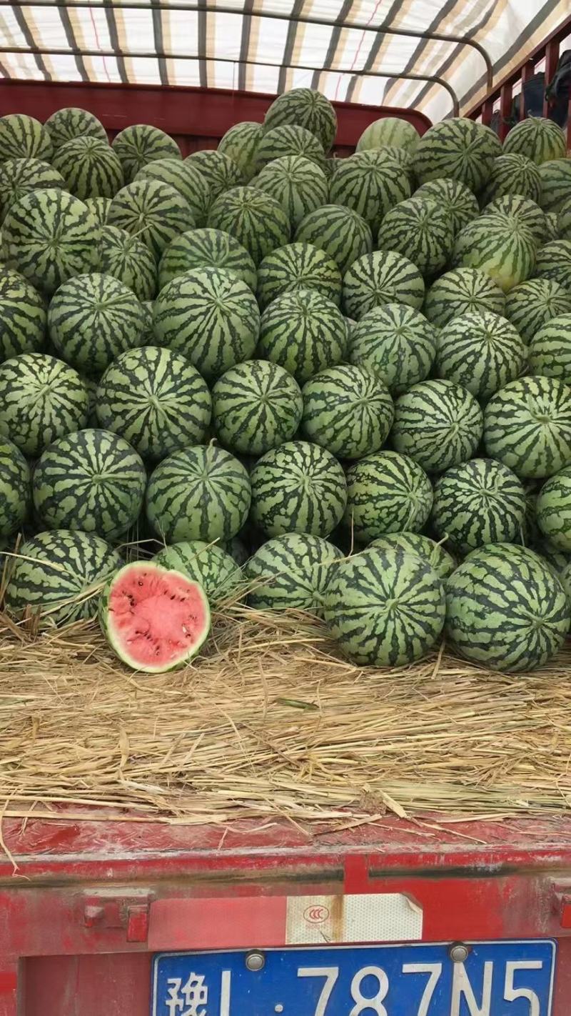 精品美都保质保量