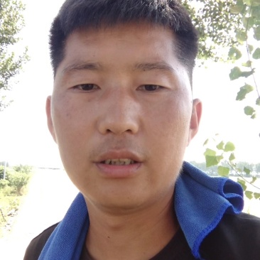 黑皮地冬瓜，中条，底光，皮色量，耐运输，量大你就来，诚信