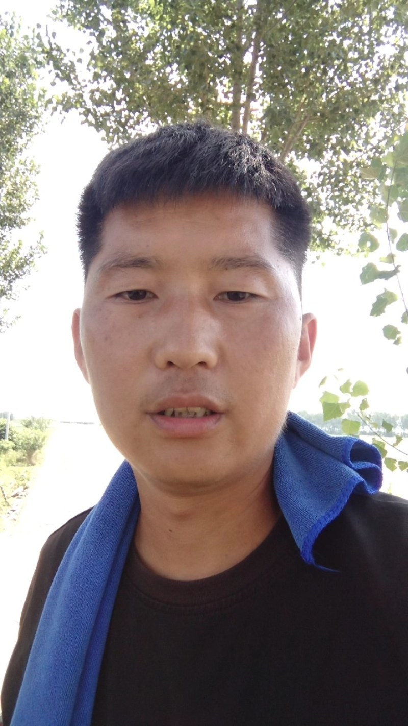 黑皮地冬瓜，中条，底光，皮色量，耐运输，量大你就来，诚信