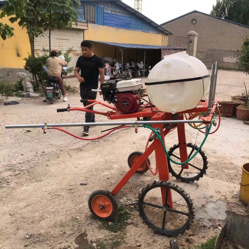 手推自走式玉米小麦大豆打药机汽油柴油除虫喷雾机