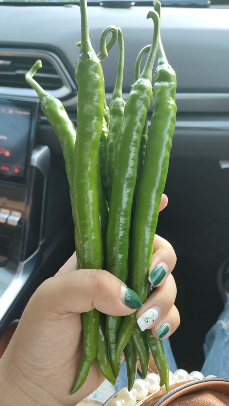 精品三号
