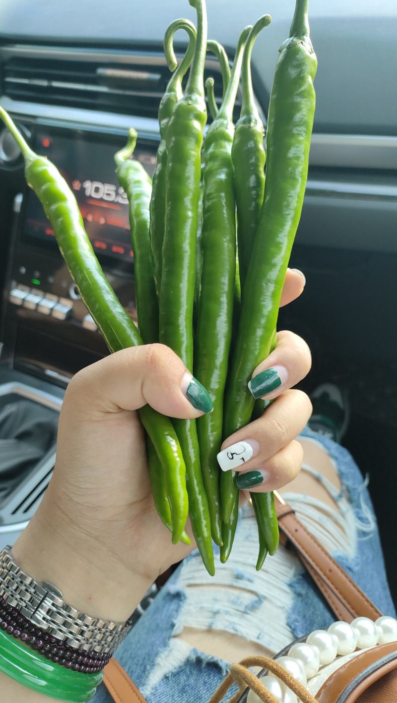 精品三号