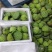 大量现货供应新鲜莲蓬电商、工厂、商超。支持一件代发