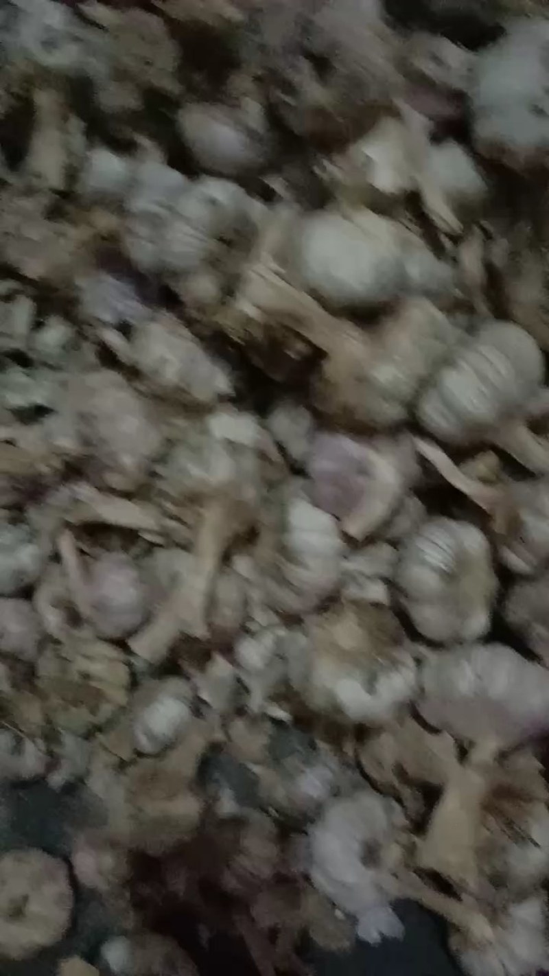 大蒜