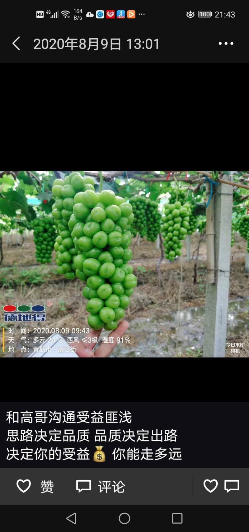 我们这有大量的阳光玫瑰葡萄