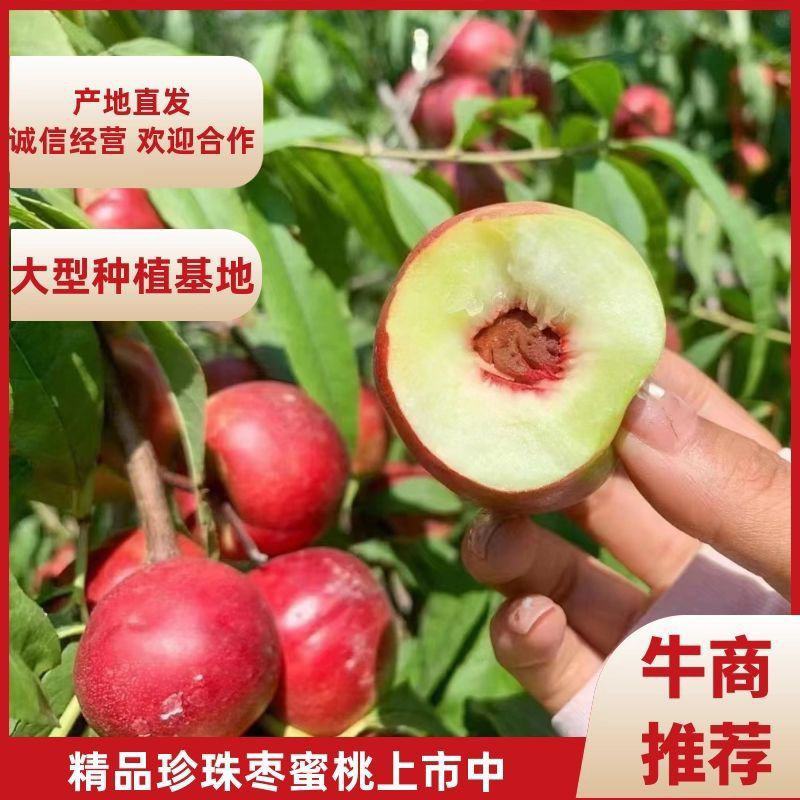 珍珠桃油桃陕西大荔陆地珍珠枣油桃密油桃现货上市珍珠枣油桃