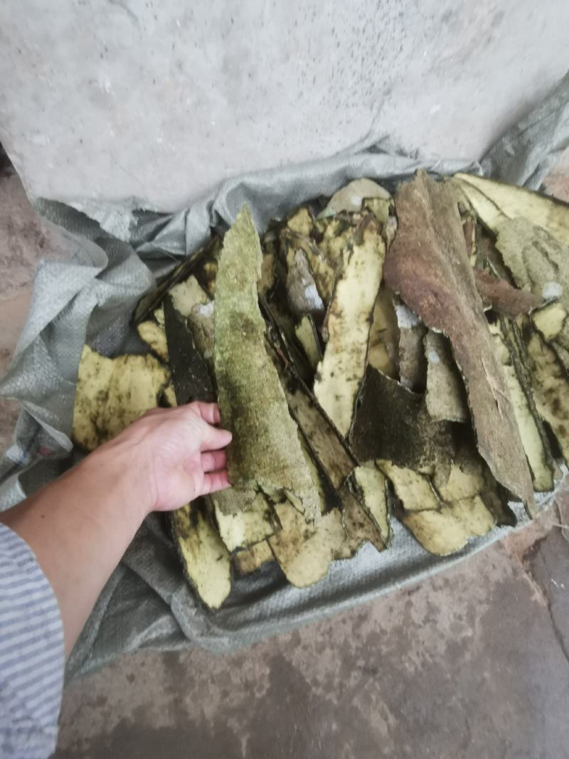 救必应，一手货源，量大