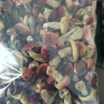 菇丁，红菇菇丁。1斤包邮