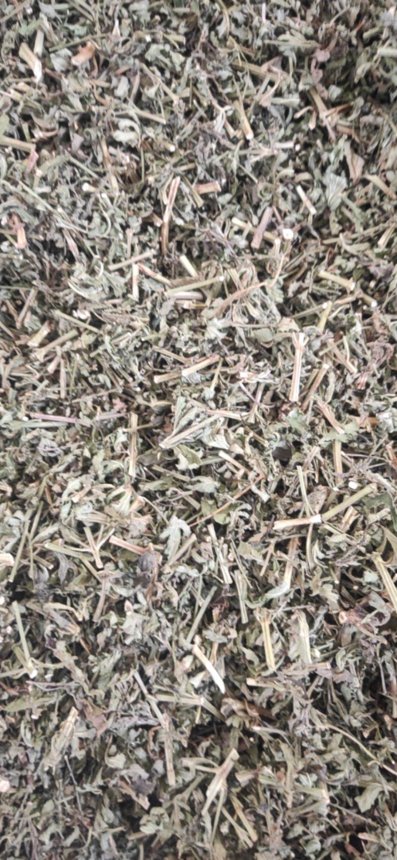 中药材馬鞭草