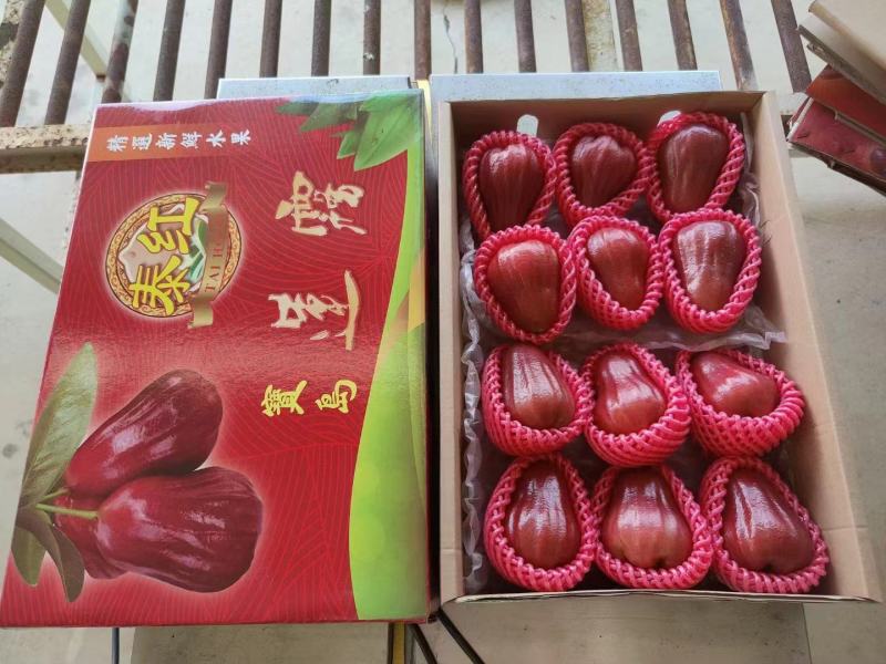黑金刚莲雾蜜风铃3斤5斤顺丰包邮一件代发