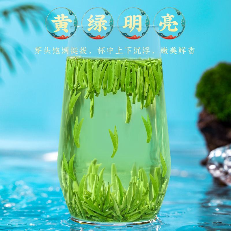 【现货批发】湄潭雀舌春茶绿茶叶2024新茶头采嫩芽浓香型