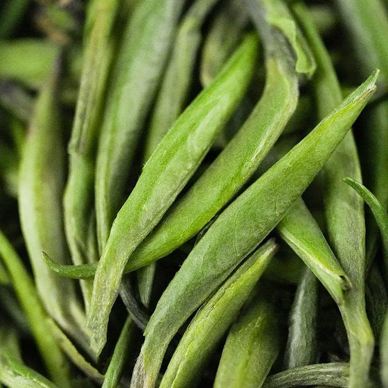 【现货批发】湄潭雀舌春茶绿茶叶2024新茶头采嫩芽浓香型