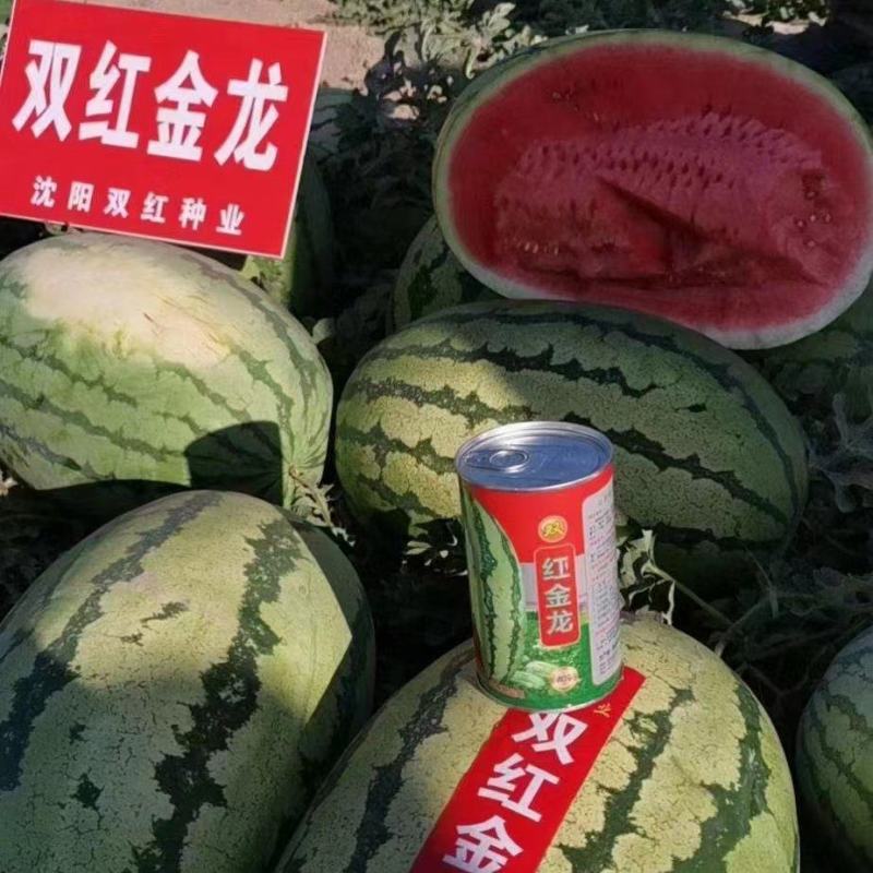 西瓜，山西双红金五西瓜、金城五西瓜等等，产地直供货源充足