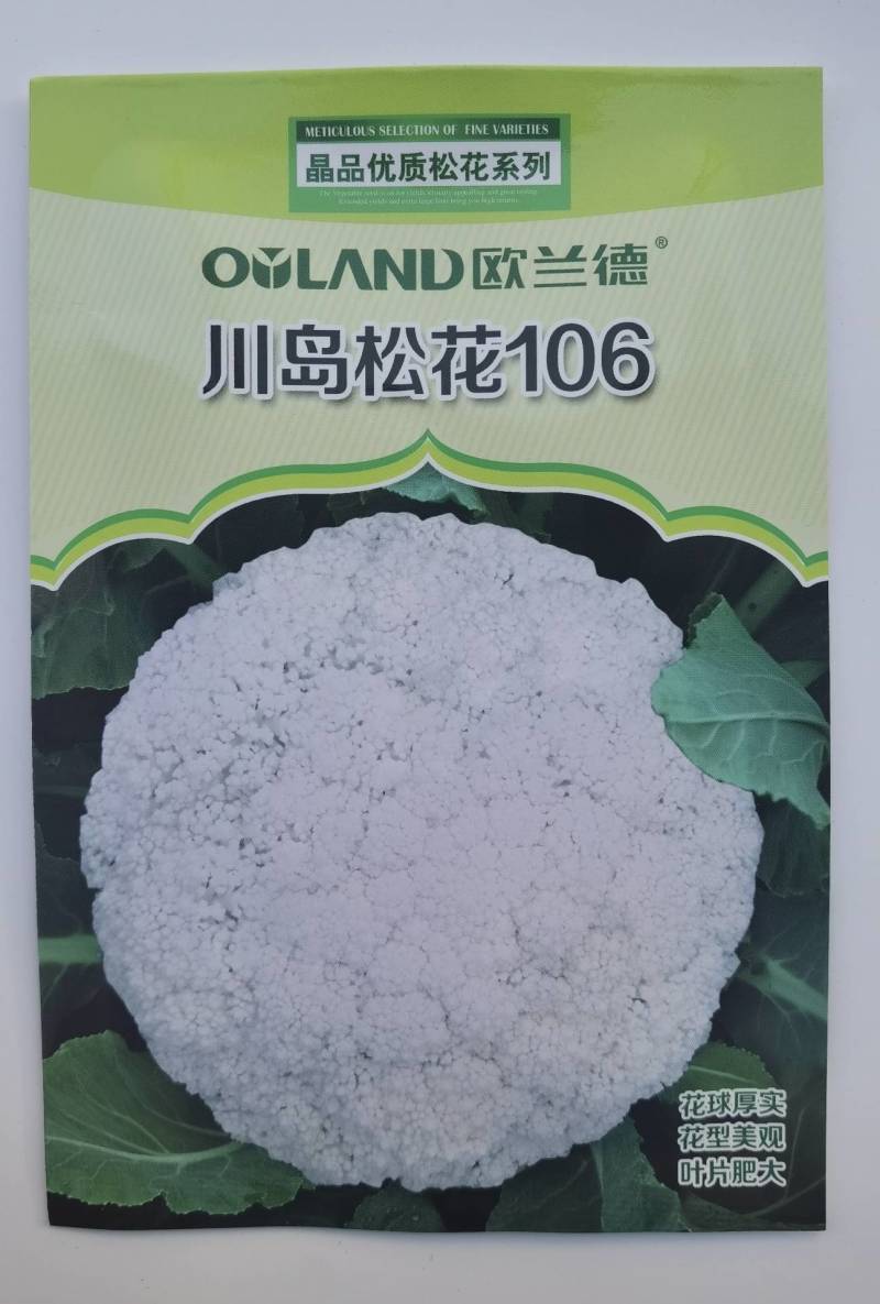 川岛松花106松花菜种子欧兰德耐寒越冬小米粒晚熟春秋