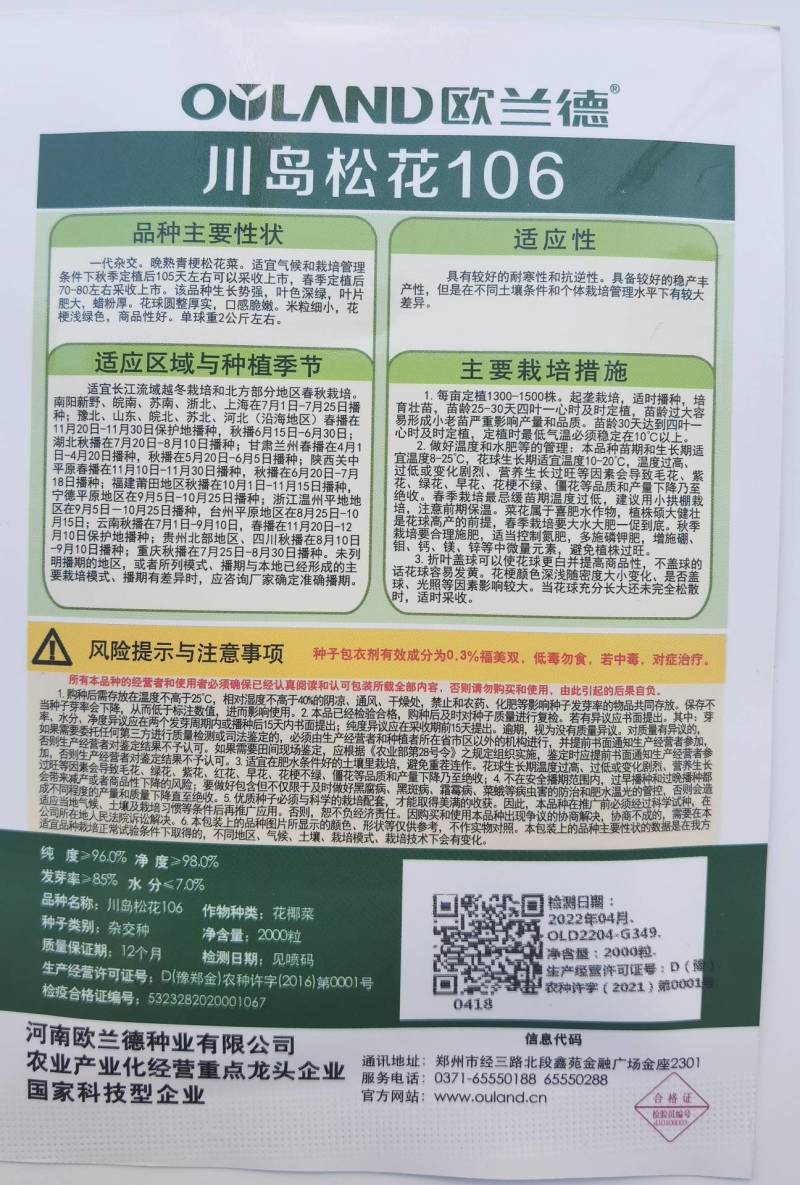 川岛松花106松花菜种子欧兰德耐寒越冬小米粒晚熟春秋