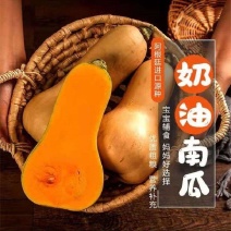 现货精品奶油南瓜电商一件代发软糯香甜日发千件
