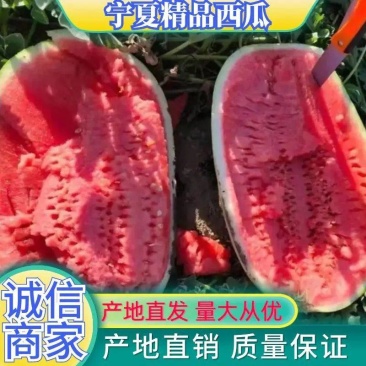 推荐宁夏正宗硒砂瓜，全国代发保熟保甜，量大从优，欢迎来电