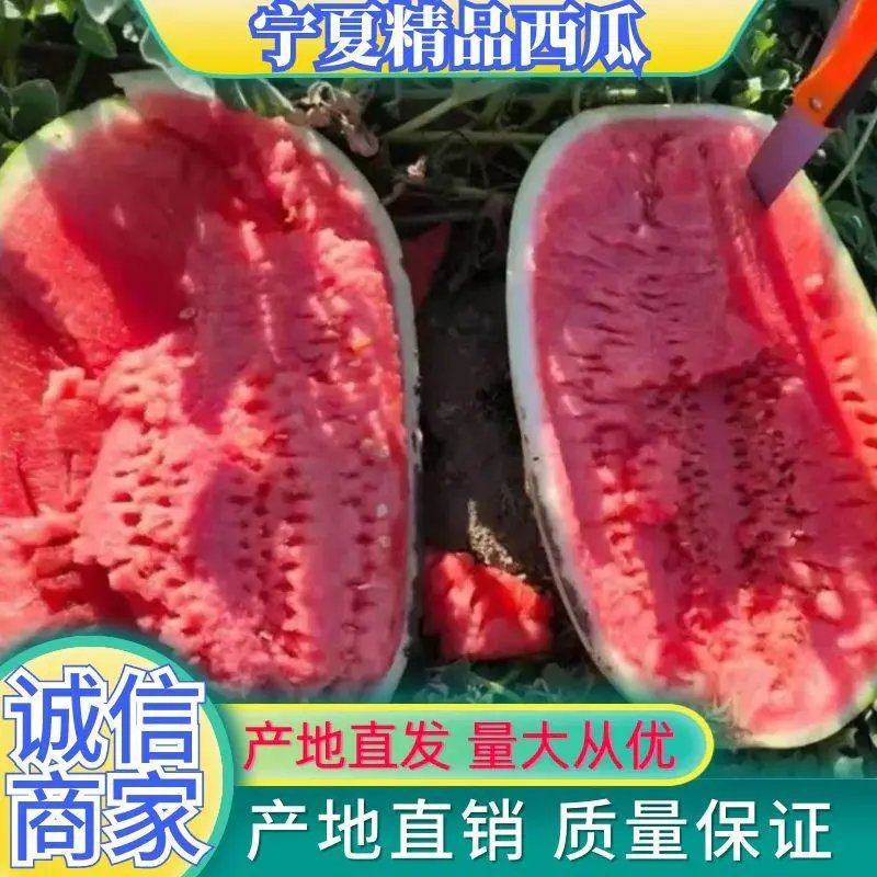 推荐宁夏正宗硒砂瓜，全国代发保熟保甜，量大从优，欢迎来电