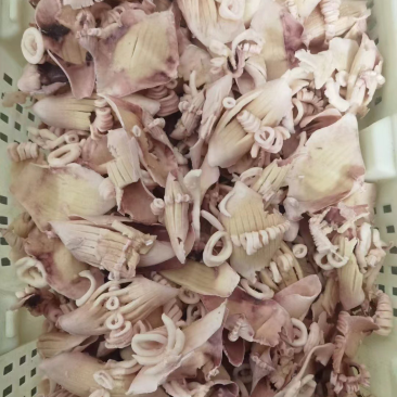 残牛角花，便宜出