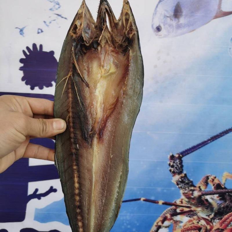 渔民自晒鲅鱼干500g海鲜干货海产马鲛鱼海鱼腌制水半干