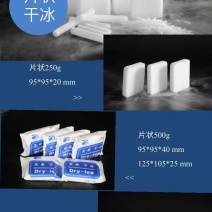 干冰冰袋(冻品水果保冷专用)