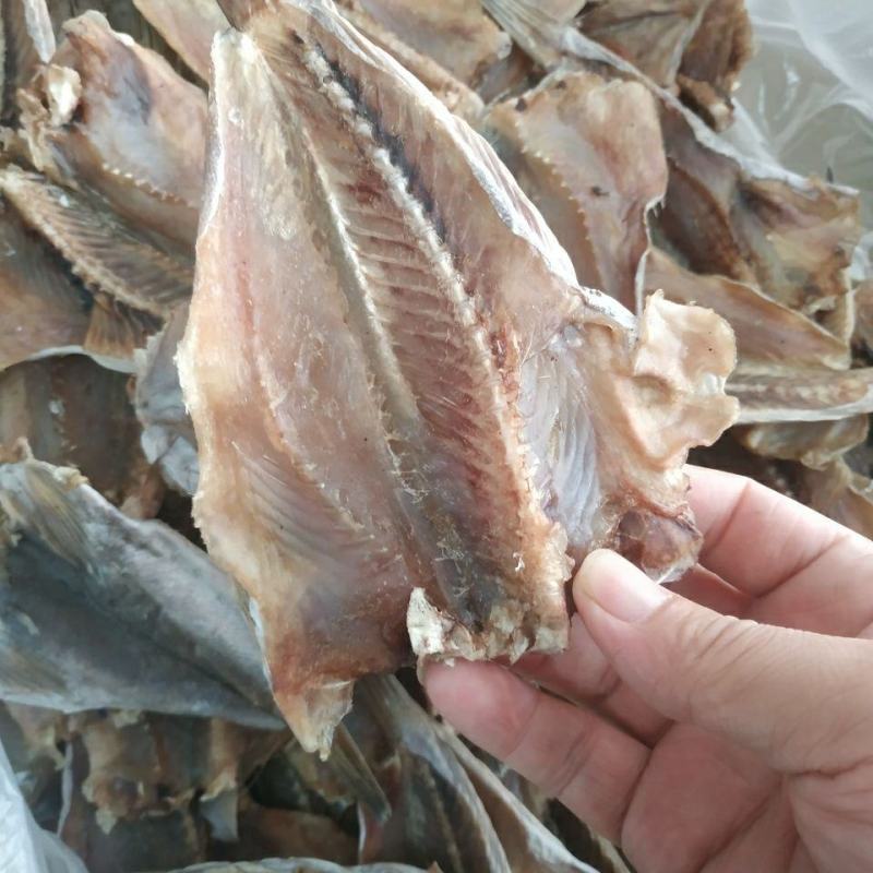 开片石斑鱼大头鱼开片鱼干去头去肚北海特产海鲜干货咸鱼干新