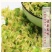 高丽菜干包菜干卷心菜干包心菜洋白菜脱水蔬菜户外干货