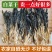 夏季菜干广东农家自晒无沙白菜干500g新鲜干货煲