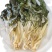 夏季菜干广东农家自晒无沙白菜干500g新鲜干货煲