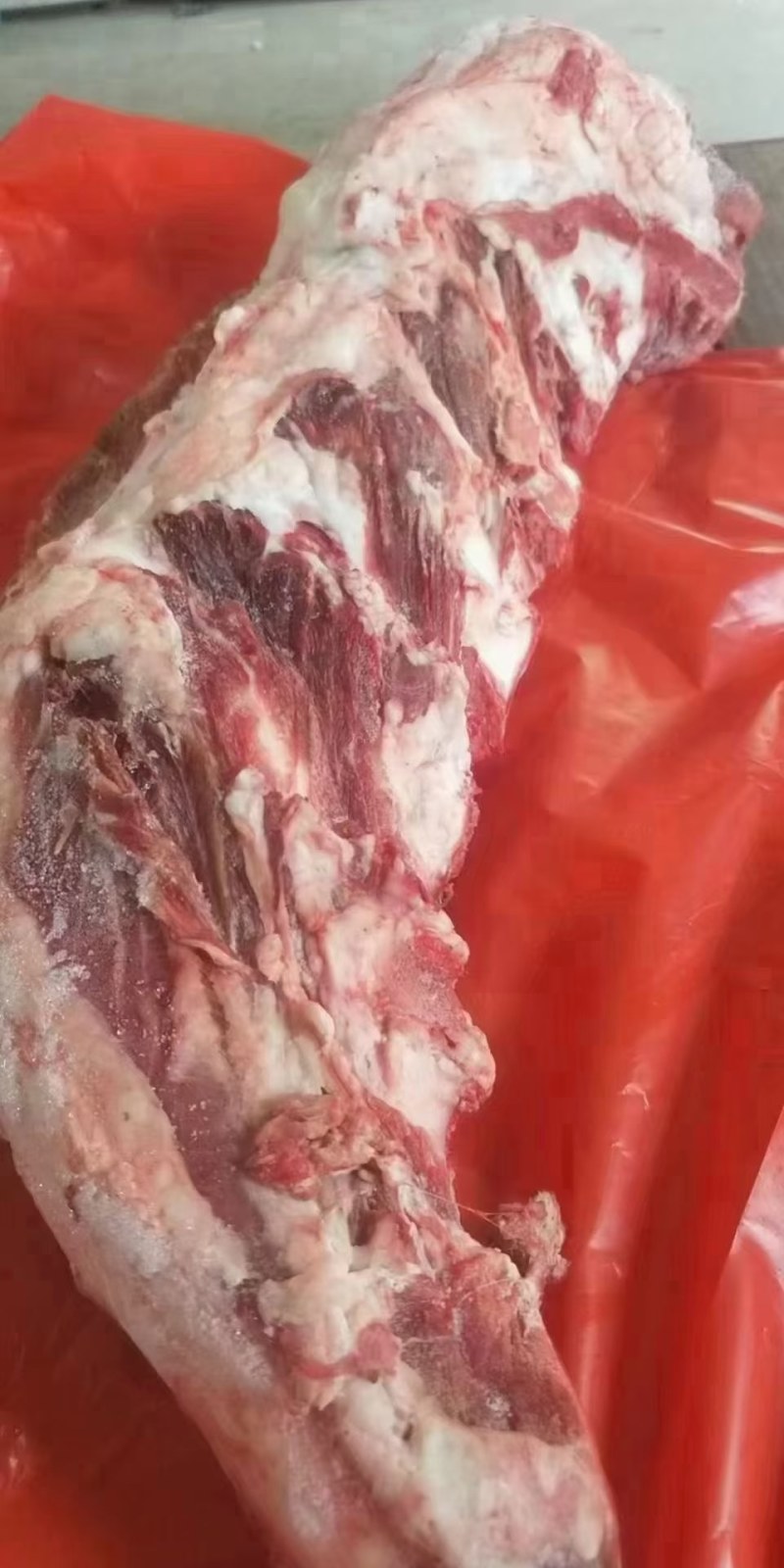 牛舌