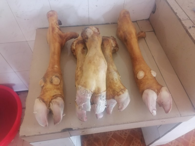 牛舌