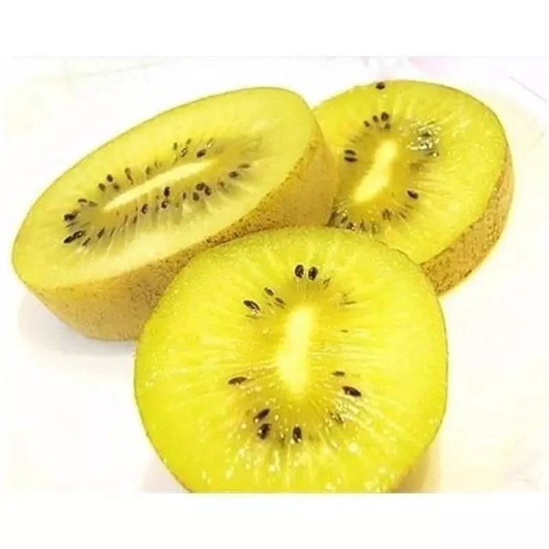 猕猴桃种子四季播种猕猴桃树苗庭院种植水果种子四季易种可食