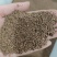 猕猴桃种子四季播种猕猴桃树苗庭院种植水果种子四季易种可食