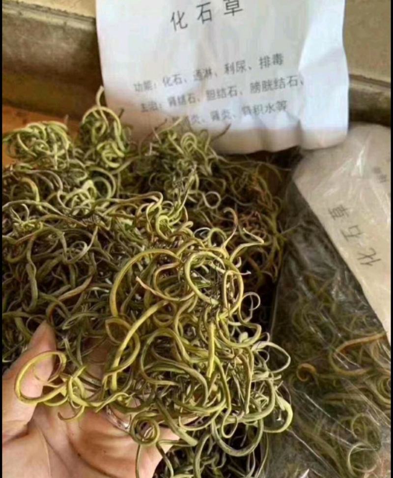 化石草化石草中药材干净无杂质量大从优