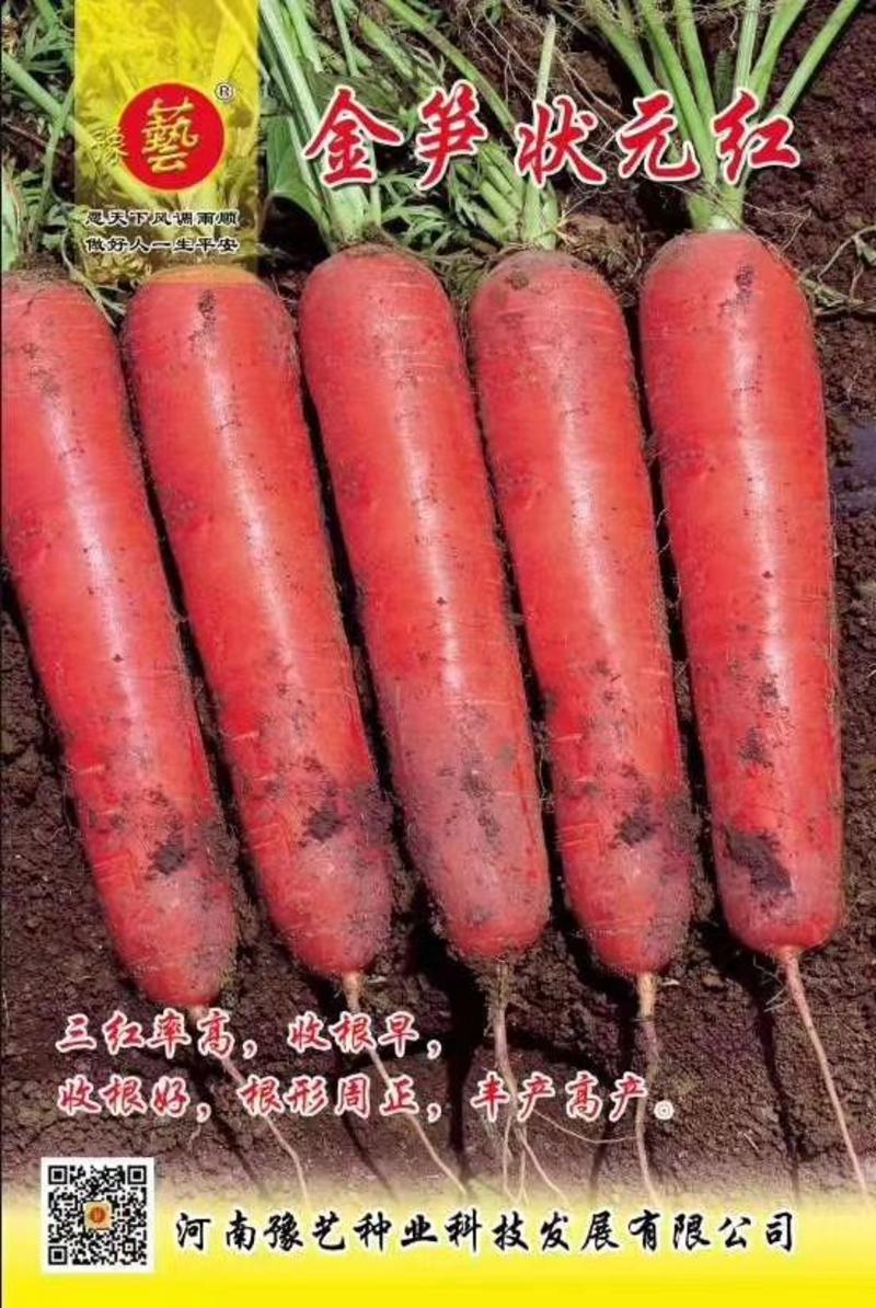 豫艺红娃娃胡萝卜种子红心芯抗病高产型三红胡萝卜籽300克