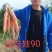 豫艺红娃娃胡萝卜种子红心芯抗病高产型三红胡萝卜籽300克
