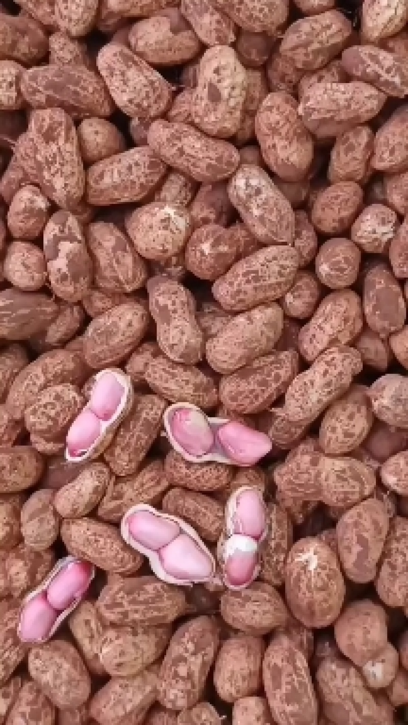 大白沙，小白沙，红花生