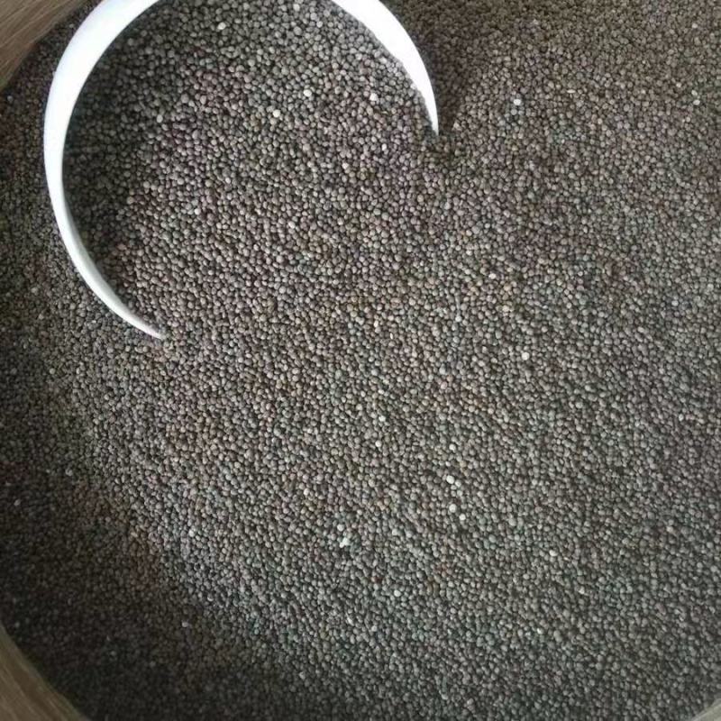 油菜籽种观赏油菜花榨油食用油菜籽油杂交高产油菜种子花海种