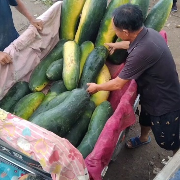 冬瓜，黑皮冬瓜，货源充足，质量保证，真诚代办，