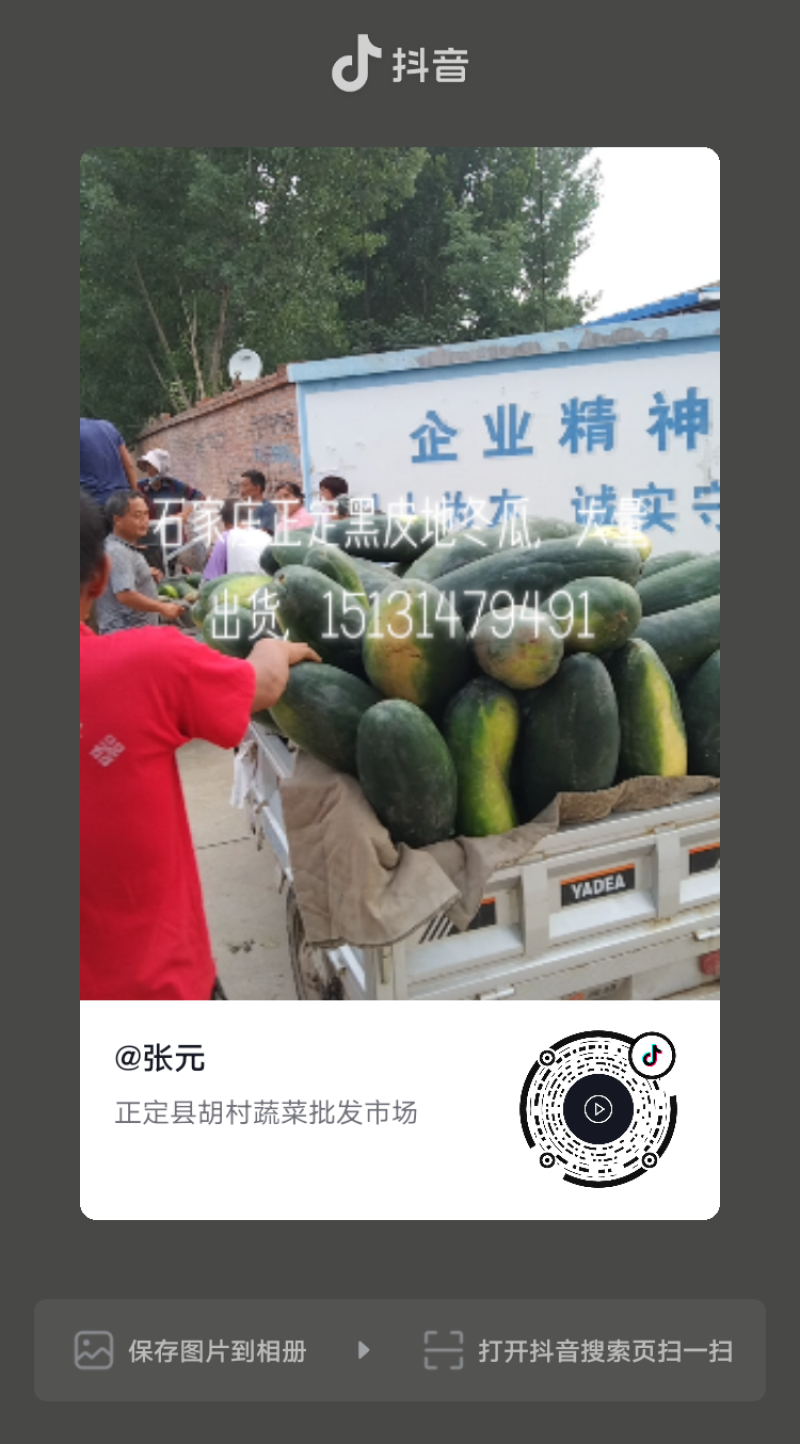 冬瓜，黑皮冬瓜，货源充足，质量保证，真诚代办，