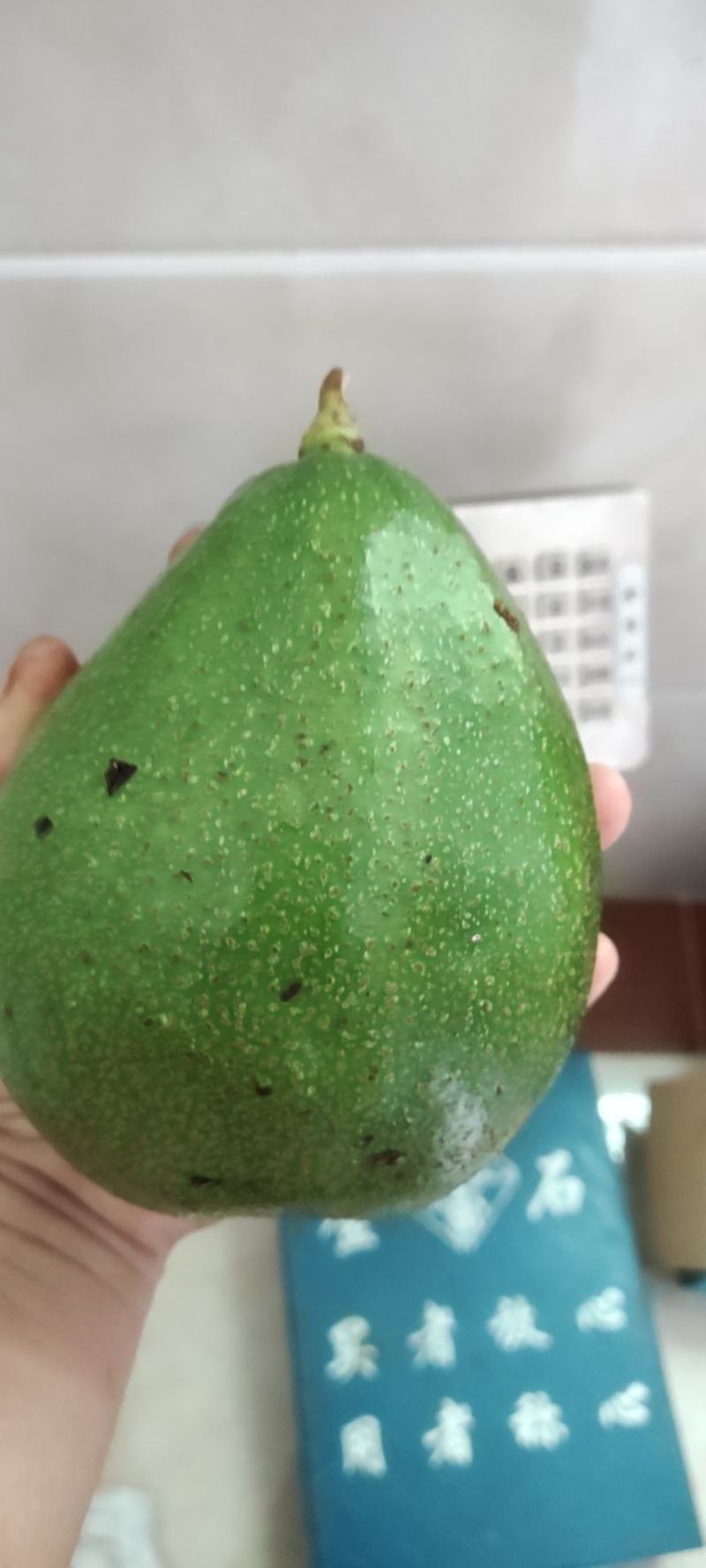 四季寿桃蛋黄果，台湾释迦，海南本地早花牛油果苗