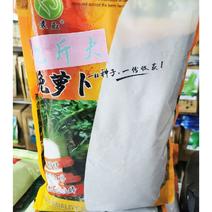 九斤王晚萝卜种子高产耐寒耐湿长白萝卜种原装发货5斤包邮