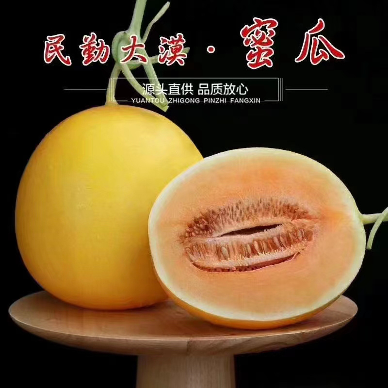 （精选）沙漠金红宝蜜瓜，大美民勤产地直发，可视频看货
