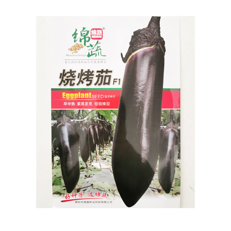 绵蔬烧烤茄子种子早熟高产紫黑短粗棒茄子种子原装1000粒