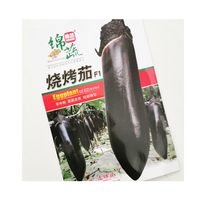 绵蔬烧烤茄子种子早熟高产紫黑短粗棒茄子种子原装1000粒