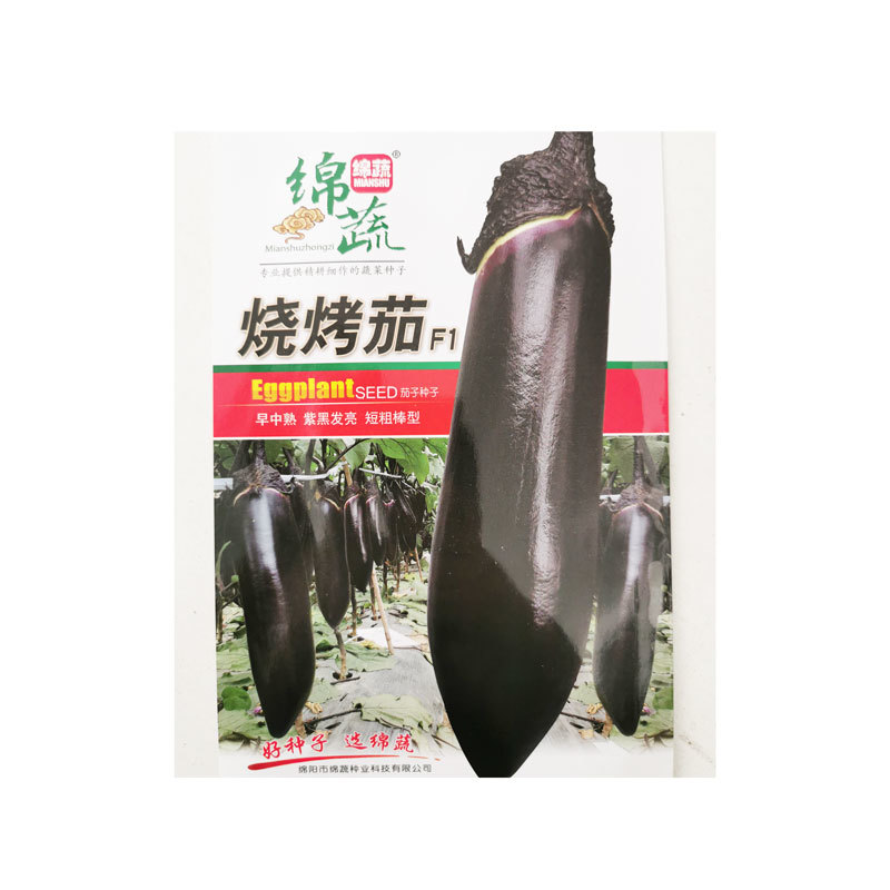 绵蔬烧烤茄子种子早熟高产紫黑短粗棒茄子种子原装1000粒