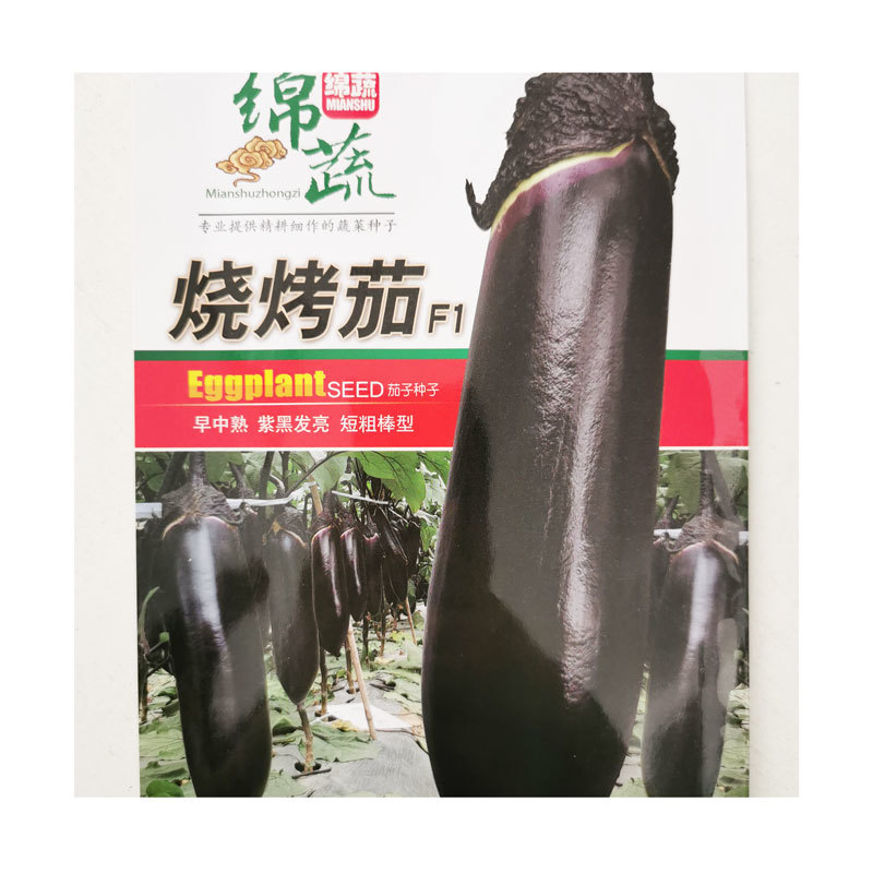 绵蔬烧烤茄子种子早熟高产紫黑短粗棒茄子种子原装1000粒