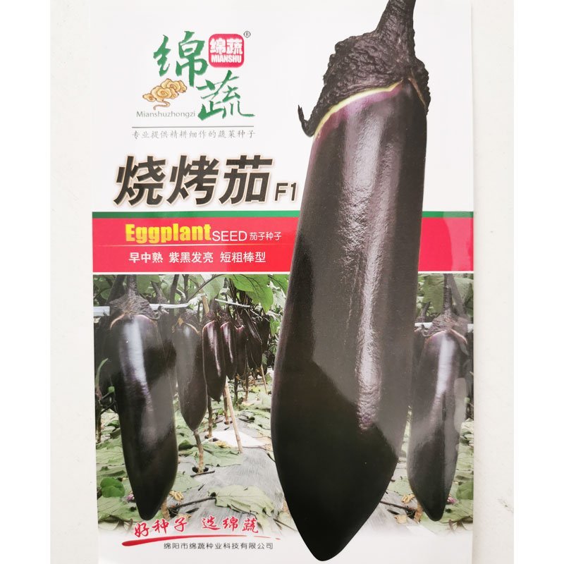 绵蔬烧烤茄子种子早熟高产紫黑短粗棒茄子种子原装1000粒